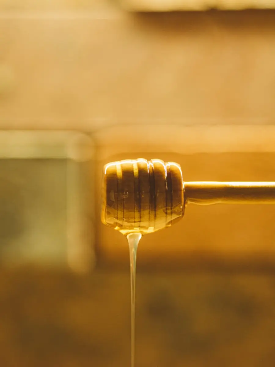 Miele lucano, la Basilicata entra nel progetto europeo BIOCHAIN