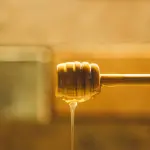 Miele lucano, la Basilicata entra nel progetto europeo BIOCHAIN