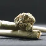 Matera, arrestato un 65enne: sequestrati droga e oltre 138 mila euro in contanti